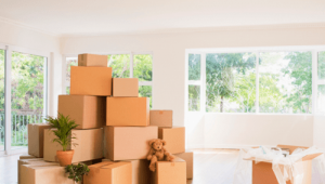 باربری جنوب تهران